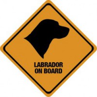 Matirca Labrador